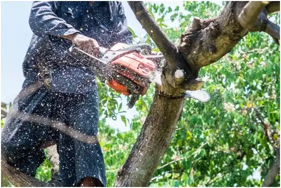 tree services Mukwonago
